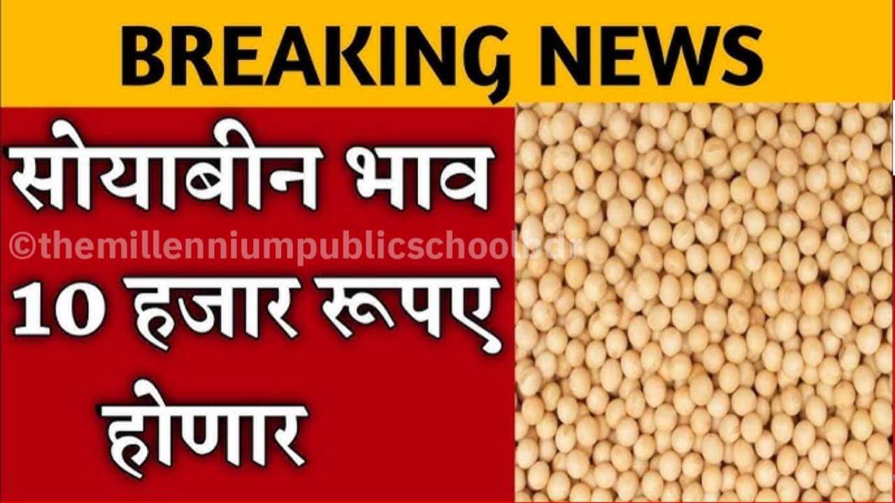 Soyabean Bajar