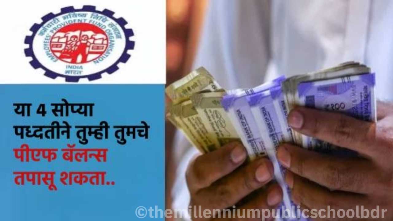 Employer Contribution