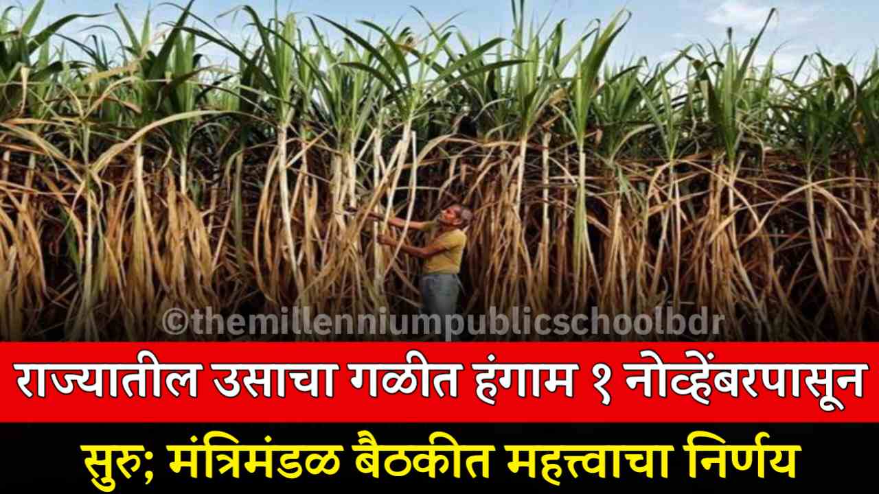Maharashtra Sugarcane Farmer