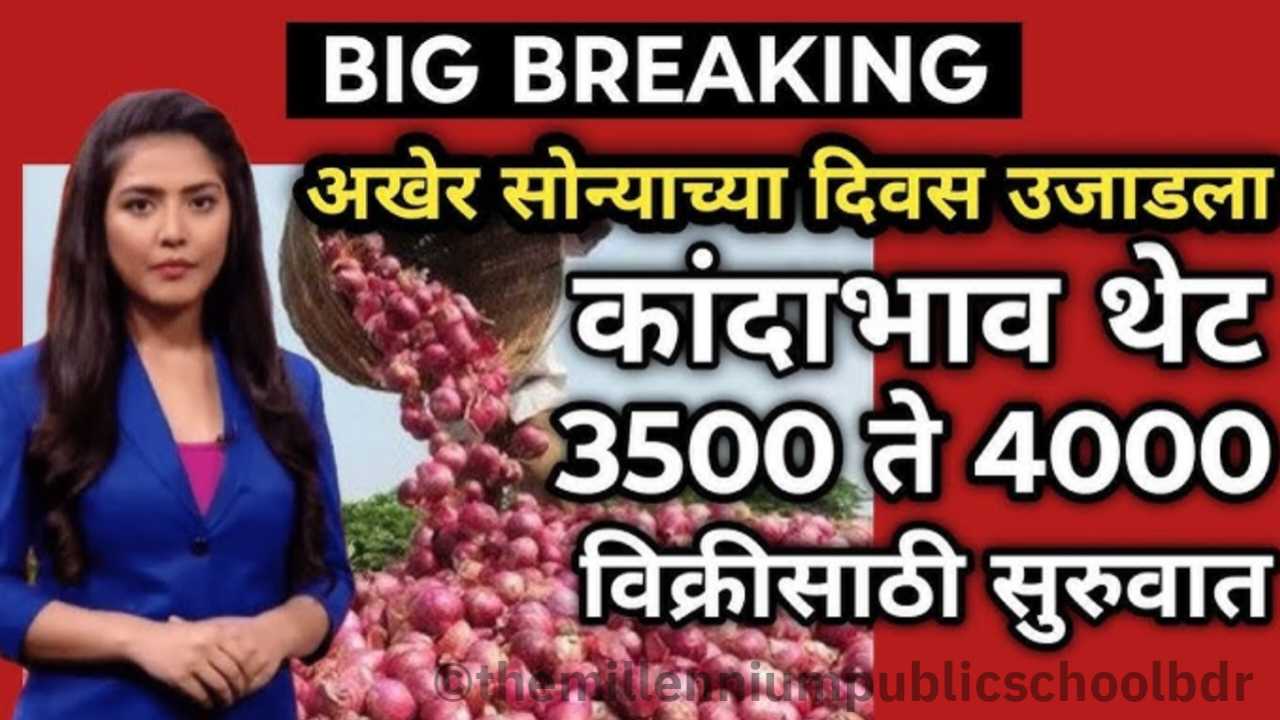Onion Price Alert