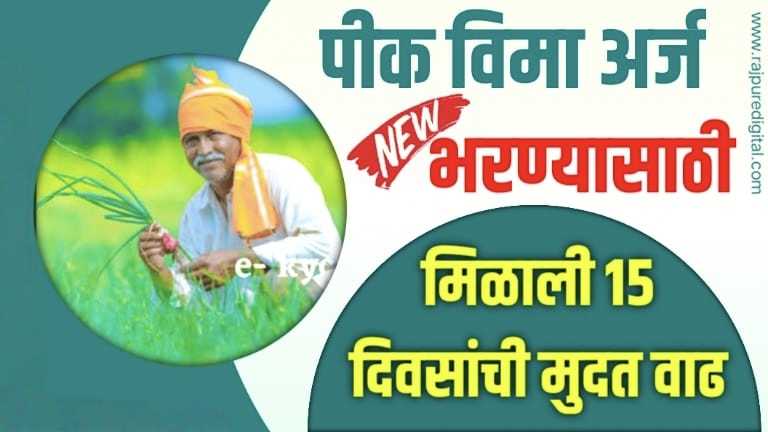 Pik pahani Last Date Update