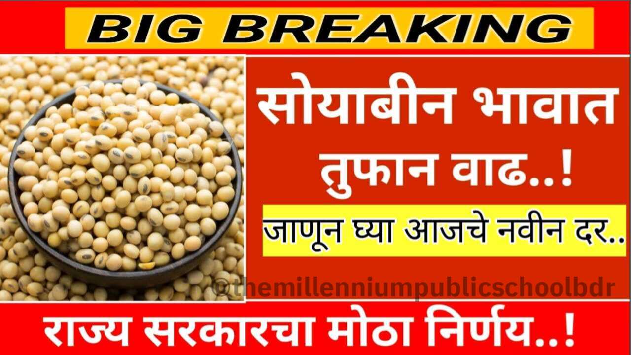 Soyabean Price Update