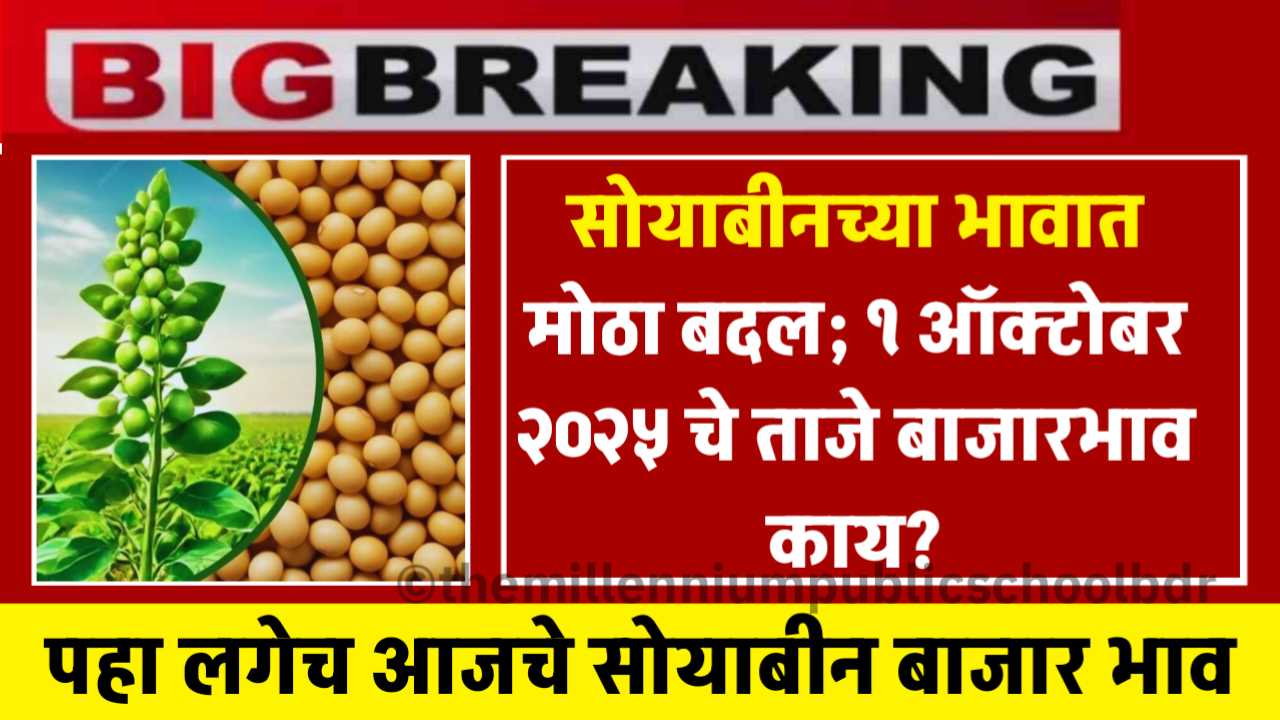 सोयाबीनच्या भावात मोठा बदल; १ ऑक्टोबर २०२५ चे ताजे बाजारभाव काय? Soyabin Rate Today