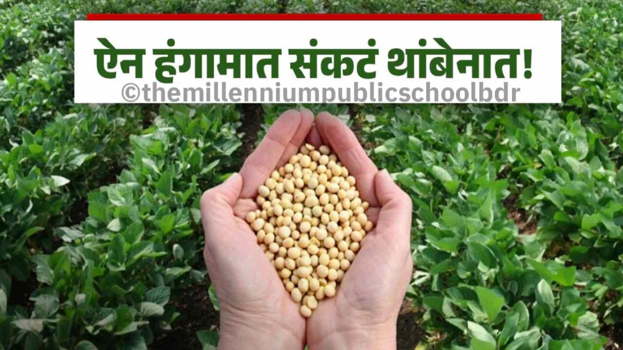 soybean market prediction